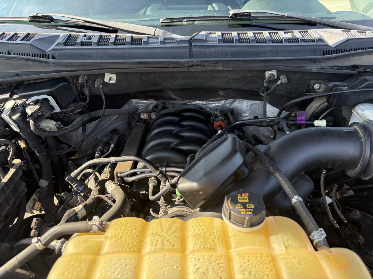 Ford F-150 4WD SuperCrew 145" STX 2019