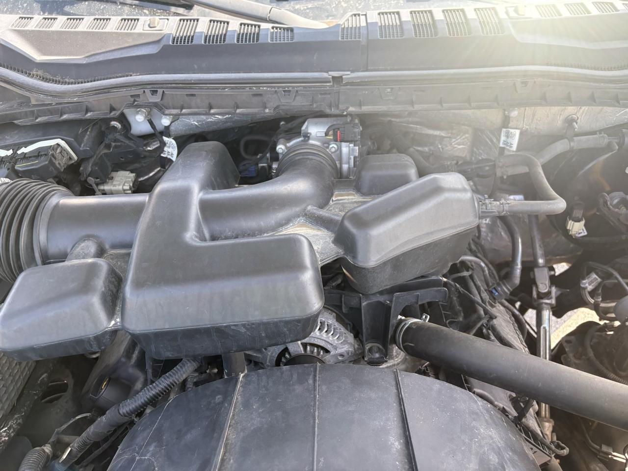 Ford Super Duty F-250 SRW 2WD Reg Cab 137" XL 2019