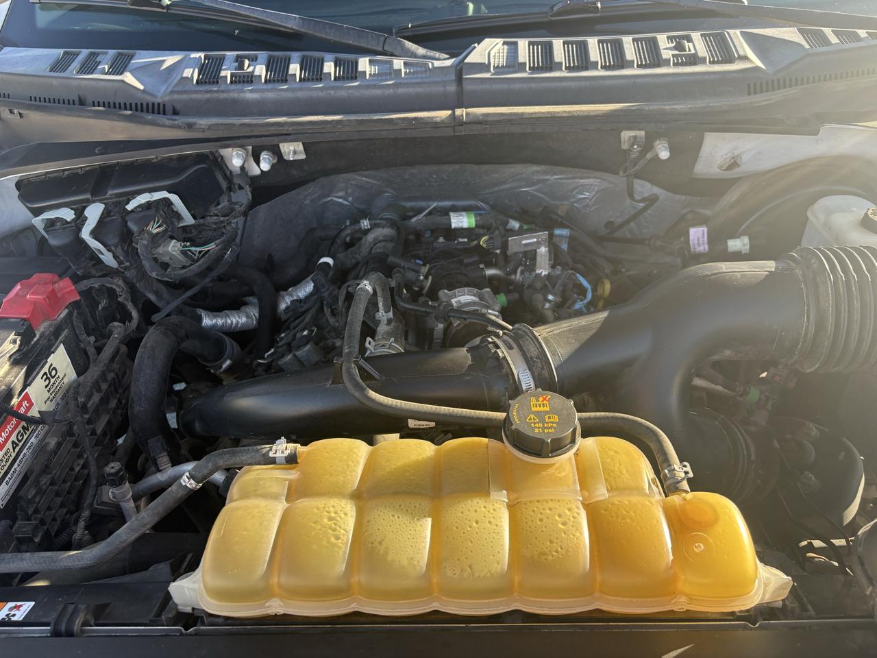 Ford F-150 2WD SuperCrew 145" STX 2019