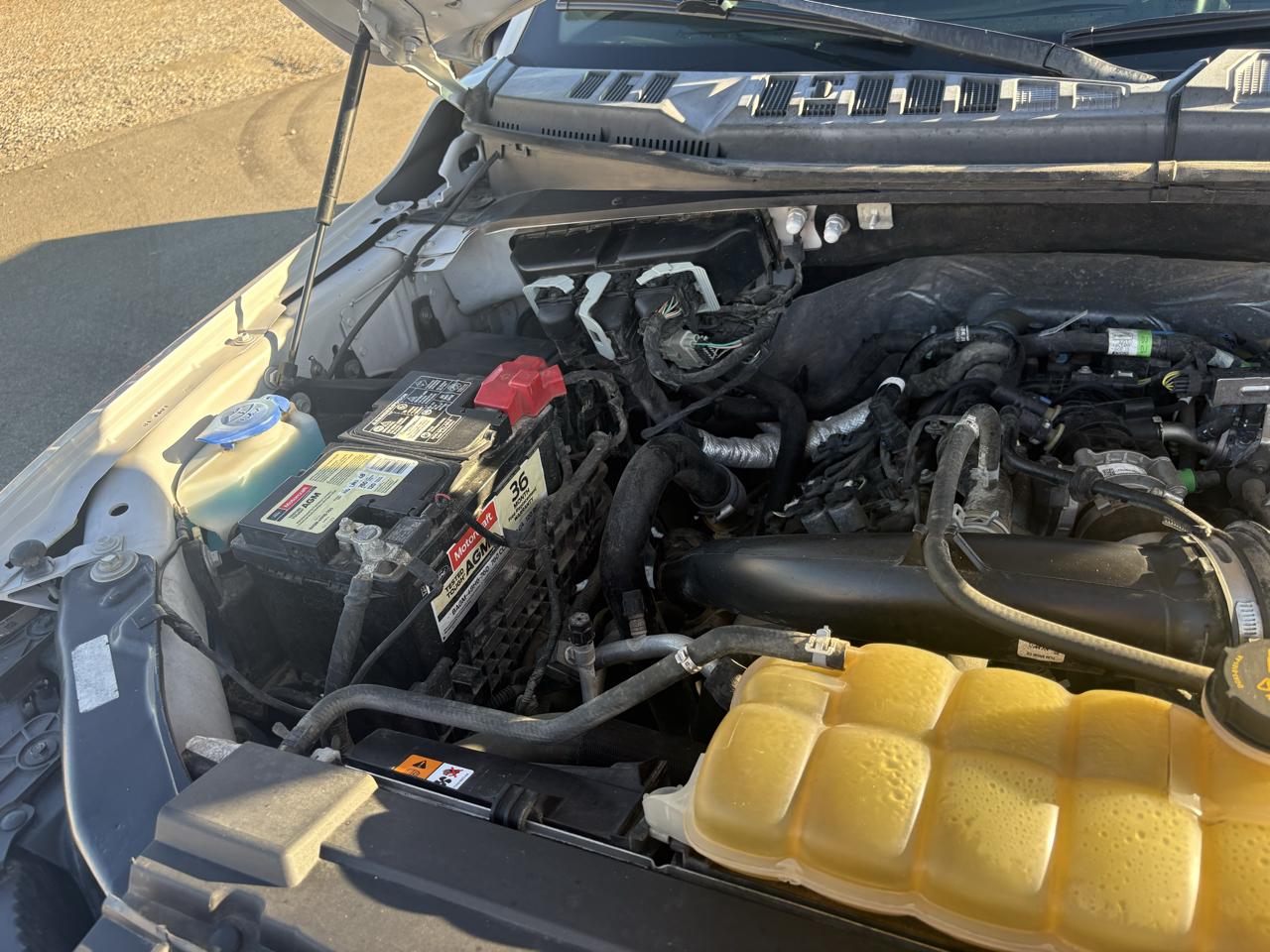 Ford F-150 2WD SuperCrew 145" STX 2019
