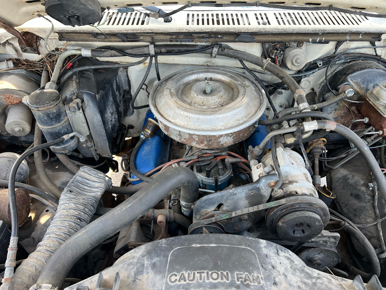 Ford Bronco 4WD  1983