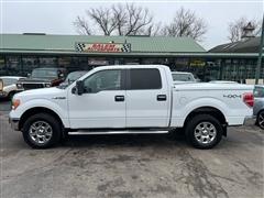 2010 Ford F-150 