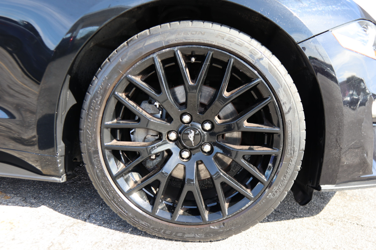 Ford Mustang EcoBoost Fastback 2018