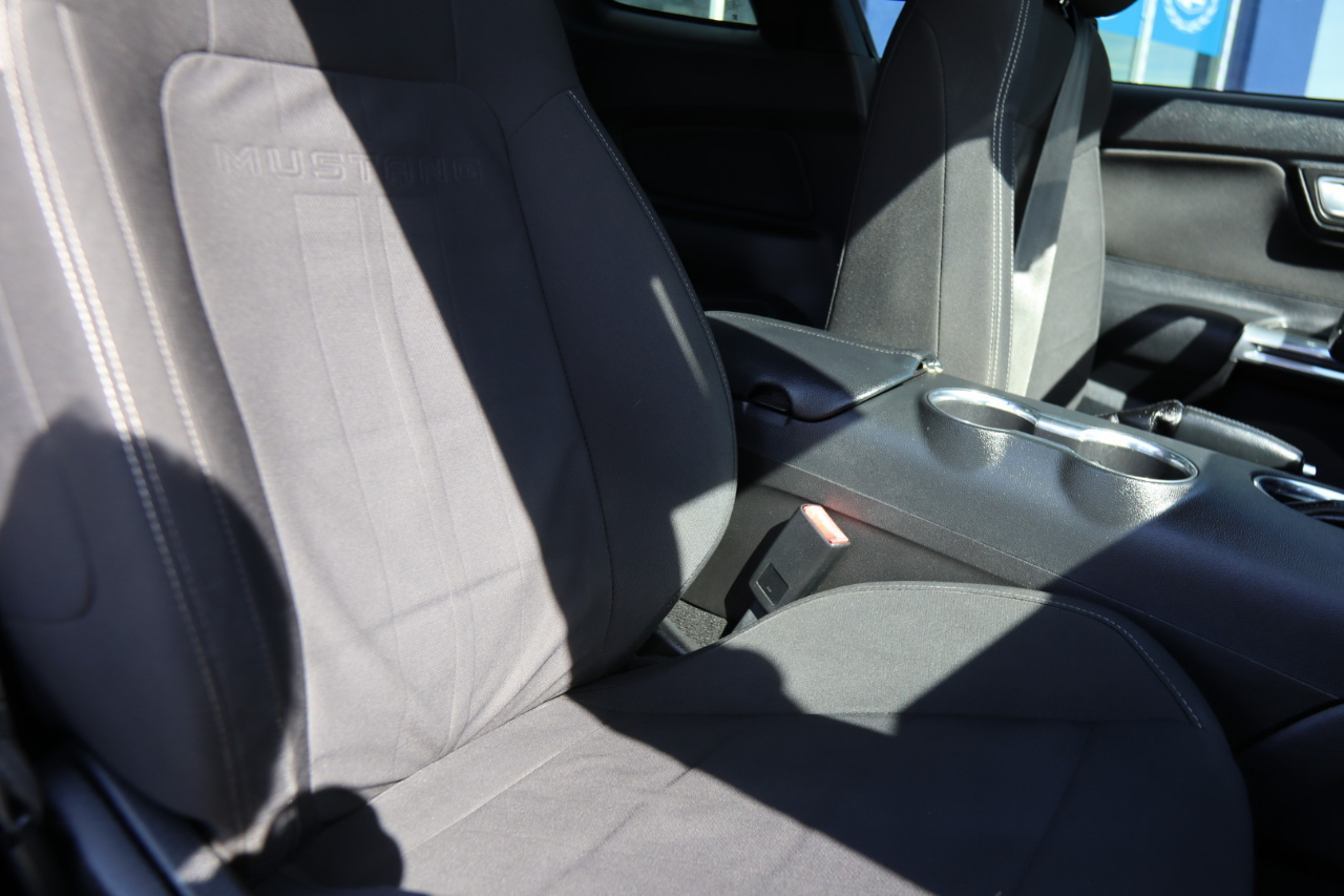 Ford Mustang EcoBoost Fastback 2018