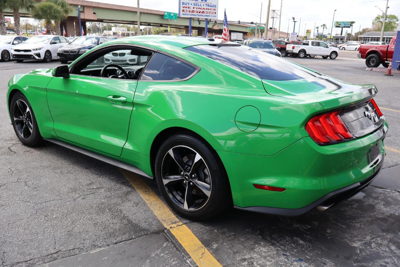Ford Mustang EcoBoost Fastback 2019