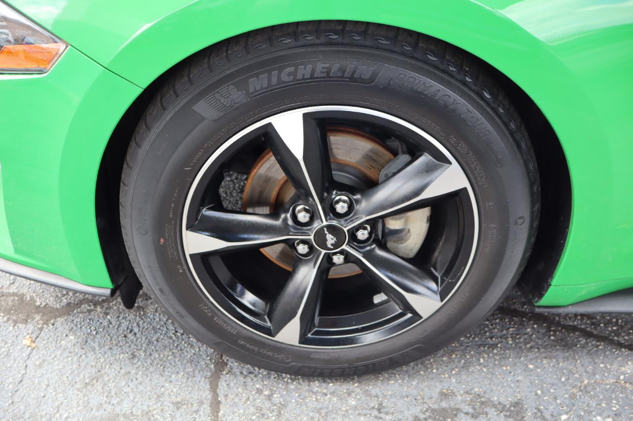 Ford Mustang EcoBoost Fastback 2019