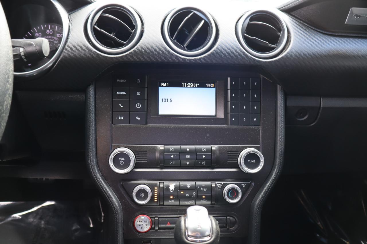 Ford Mustang EcoBoost Fastback 2019