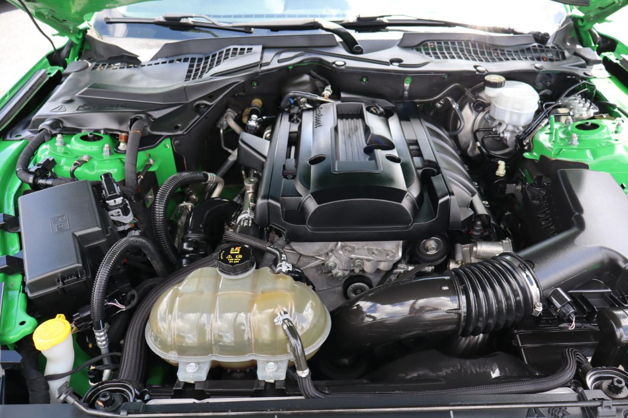 Ford Mustang EcoBoost Fastback 2019