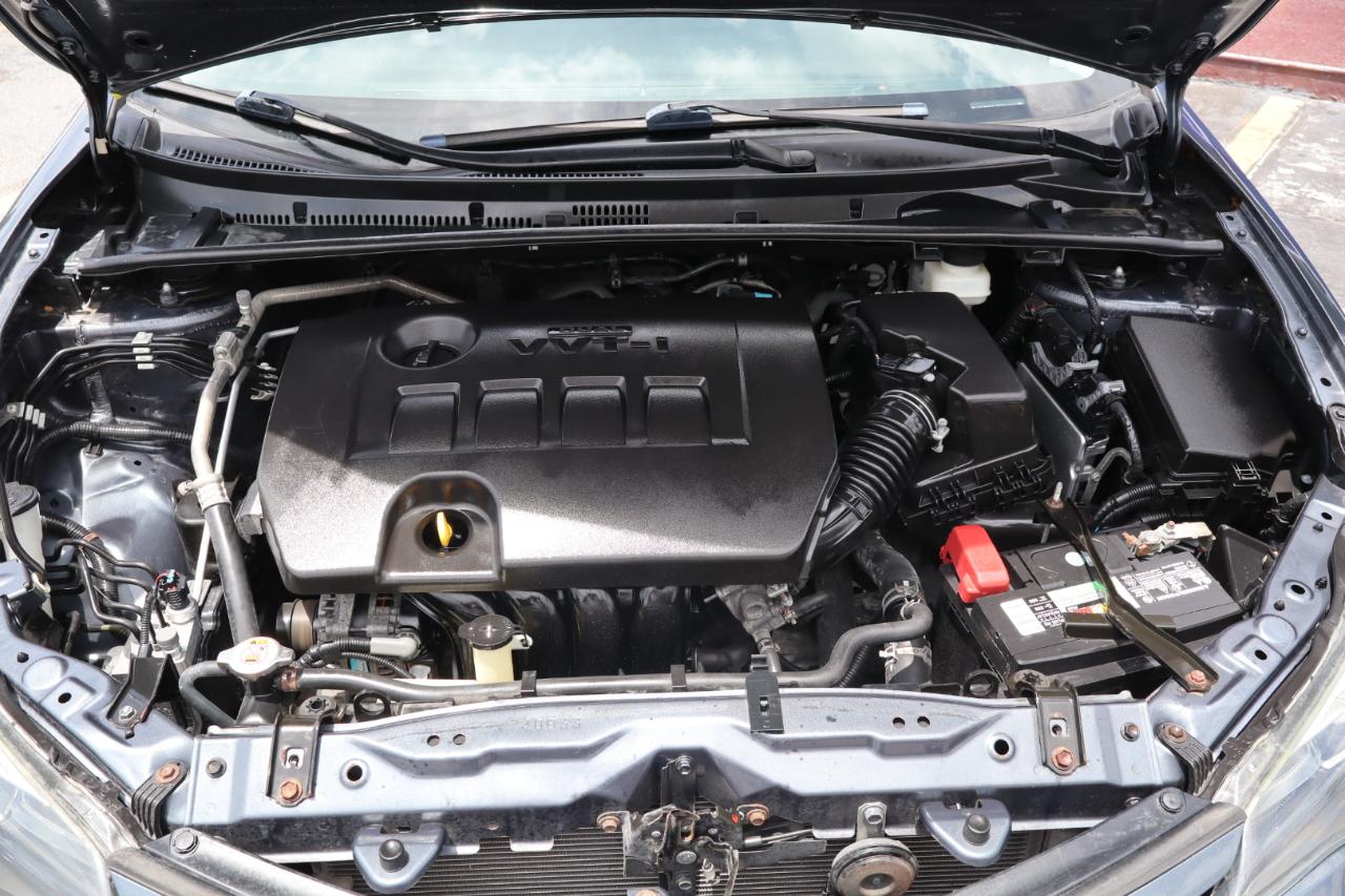 Toyota Corolla XLE CVT (Natl) 2019