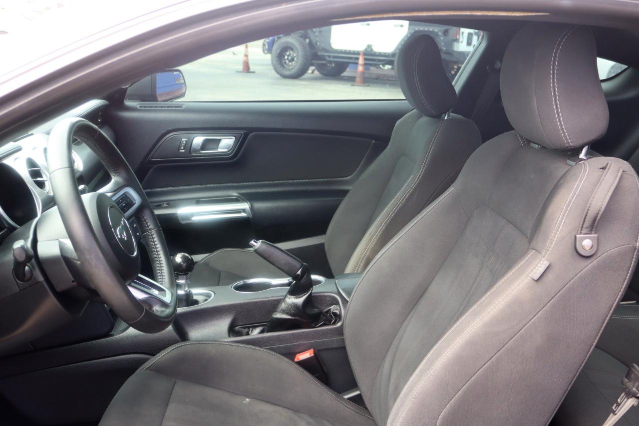 Ford Mustang GT Fastback 2020