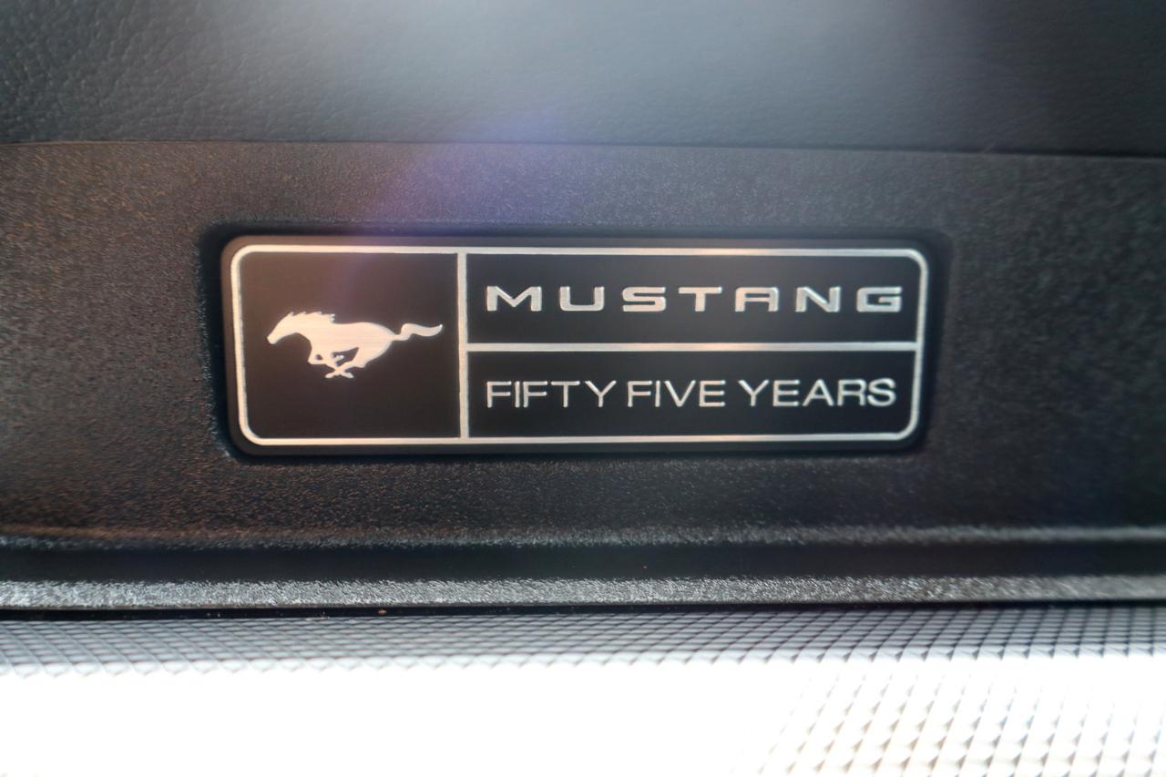 Ford Mustang GT Fastback 2020