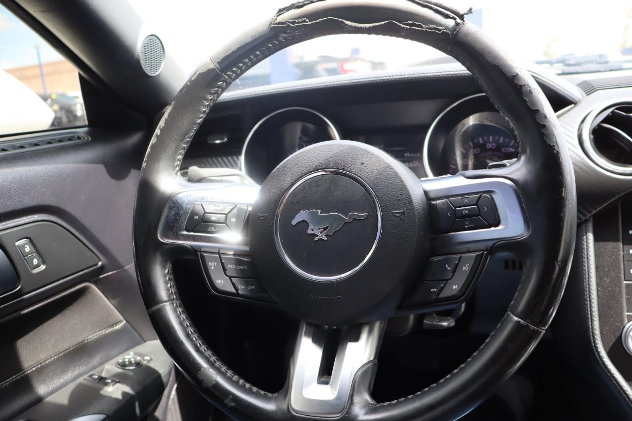 Ford Mustang EcoBoost Fastback 2018