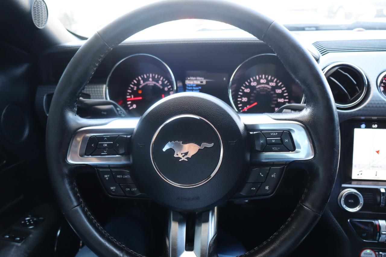 Ford Mustang EcoBoost Fastback 2017