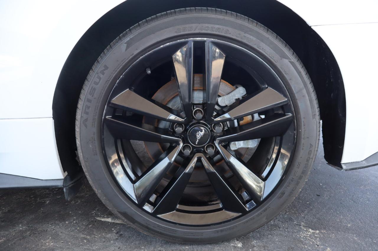 Ford Mustang EcoBoost Fastback 2017
