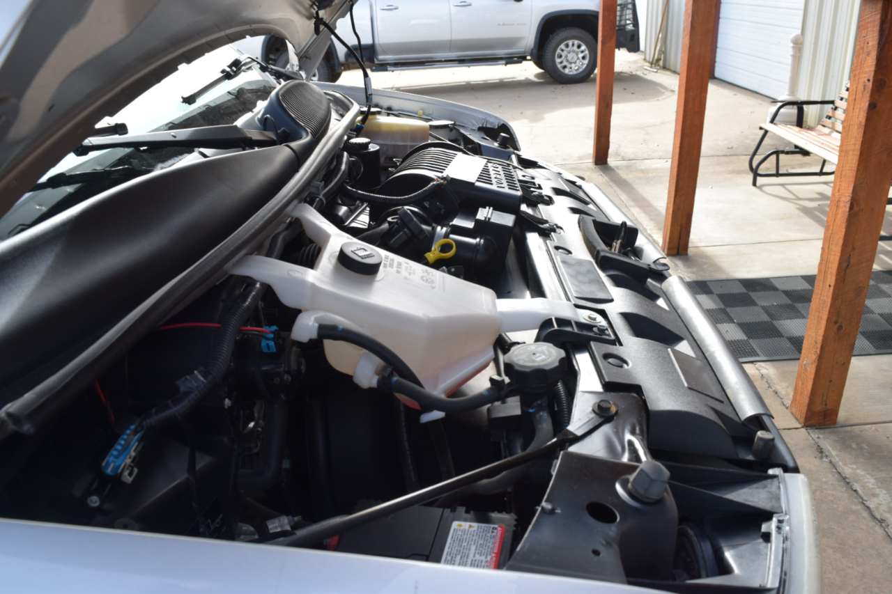 Chevrolet Express Passenger  2017