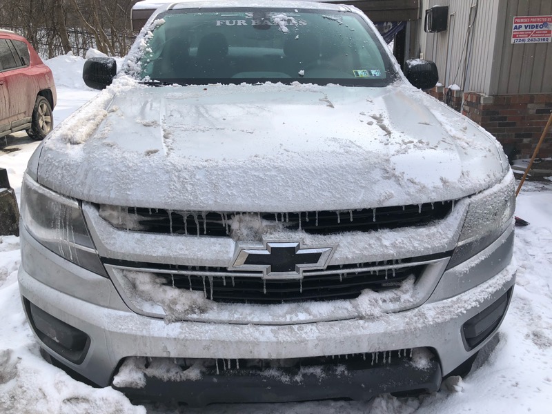 Chevrolet Colorado Work Truck Crew Cab 4WD Short Box 2019