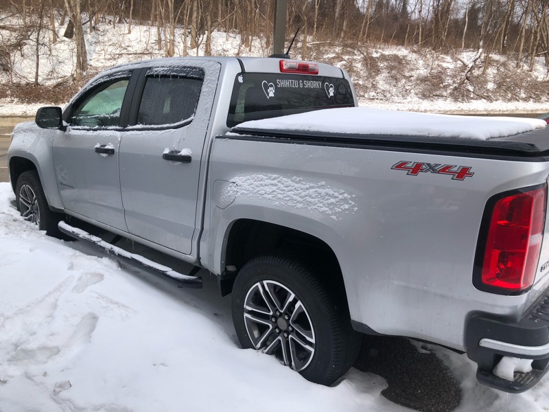 Chevrolet Colorado Work Truck Crew Cab 4WD Short Box 2019