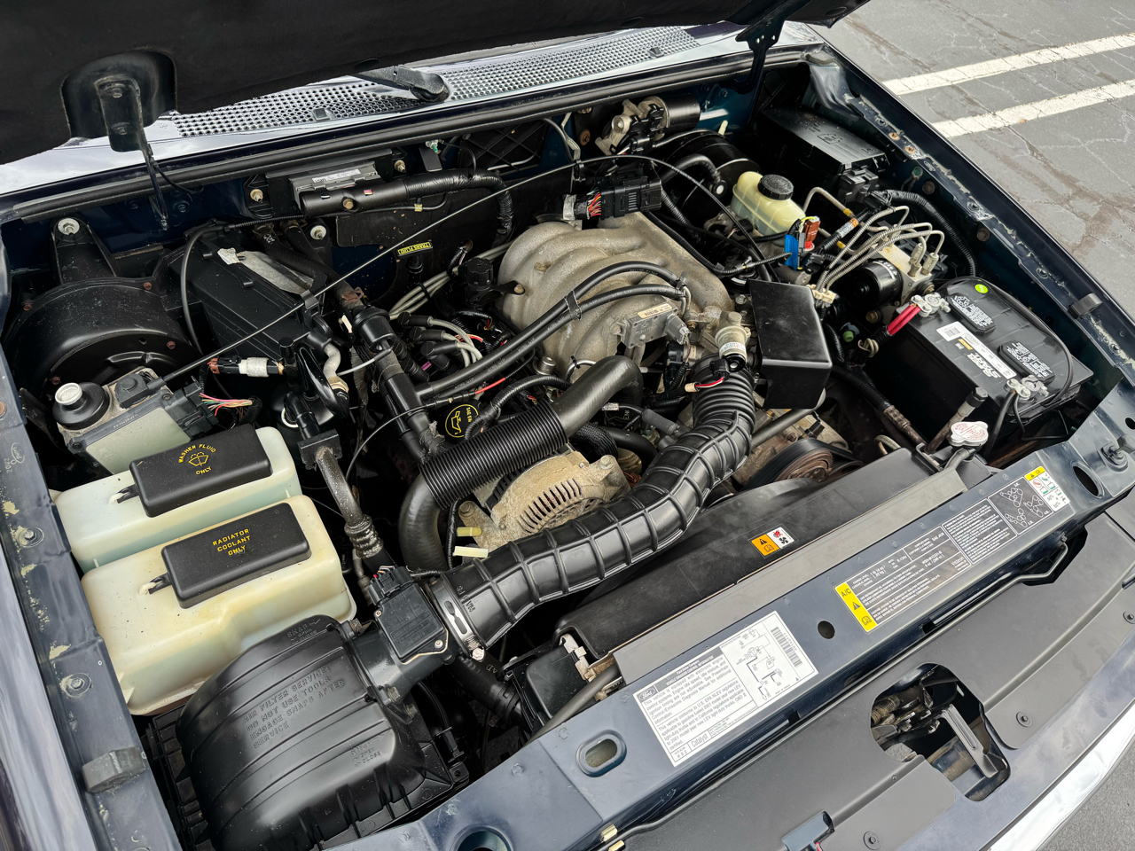 Ford Ranger Reg Cab 3.0L XLT Appearance 2001