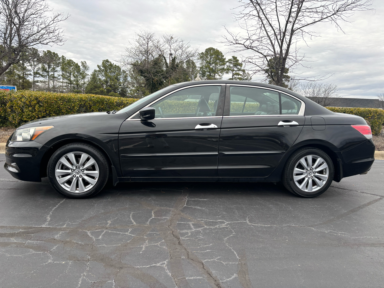 Honda Accord Sdn 4dr V6 Auto EX-L 2011