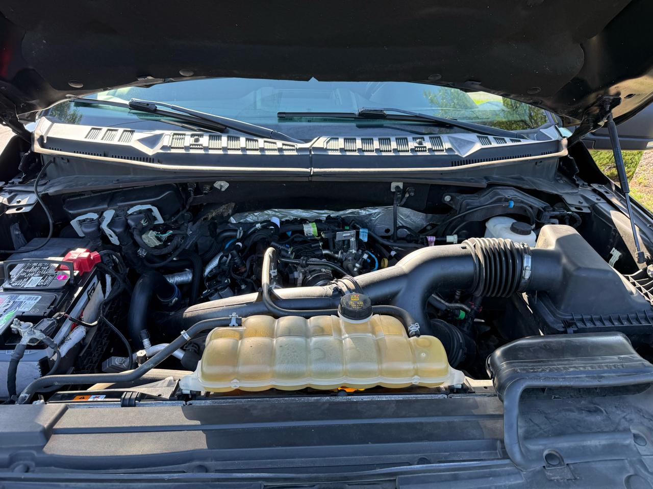 Ford F-150 4WD SuperCrew 139" XLT 2019