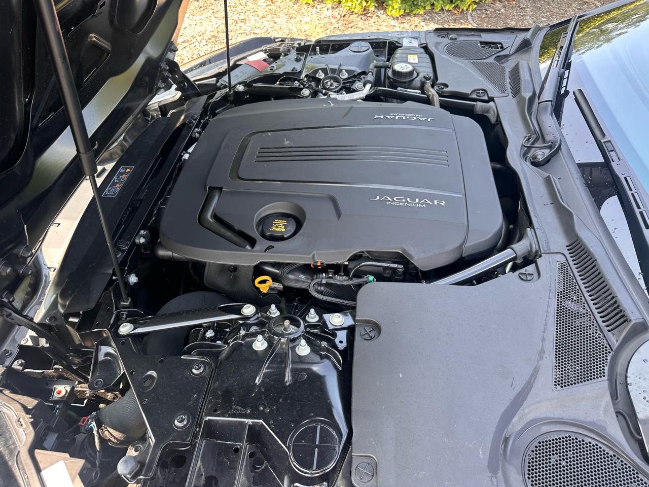 Jaguar F-Type P300 Convertible 2020