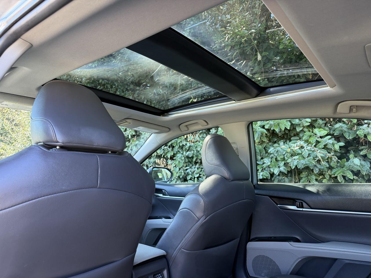 Toyota Camry XLE Auto (Natl) 2019