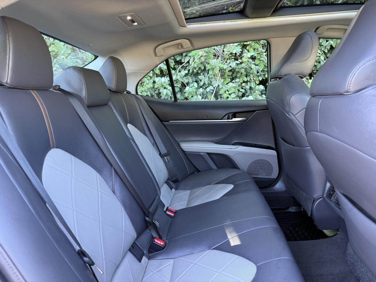 Toyota Camry XLE Auto (Natl) 2019
