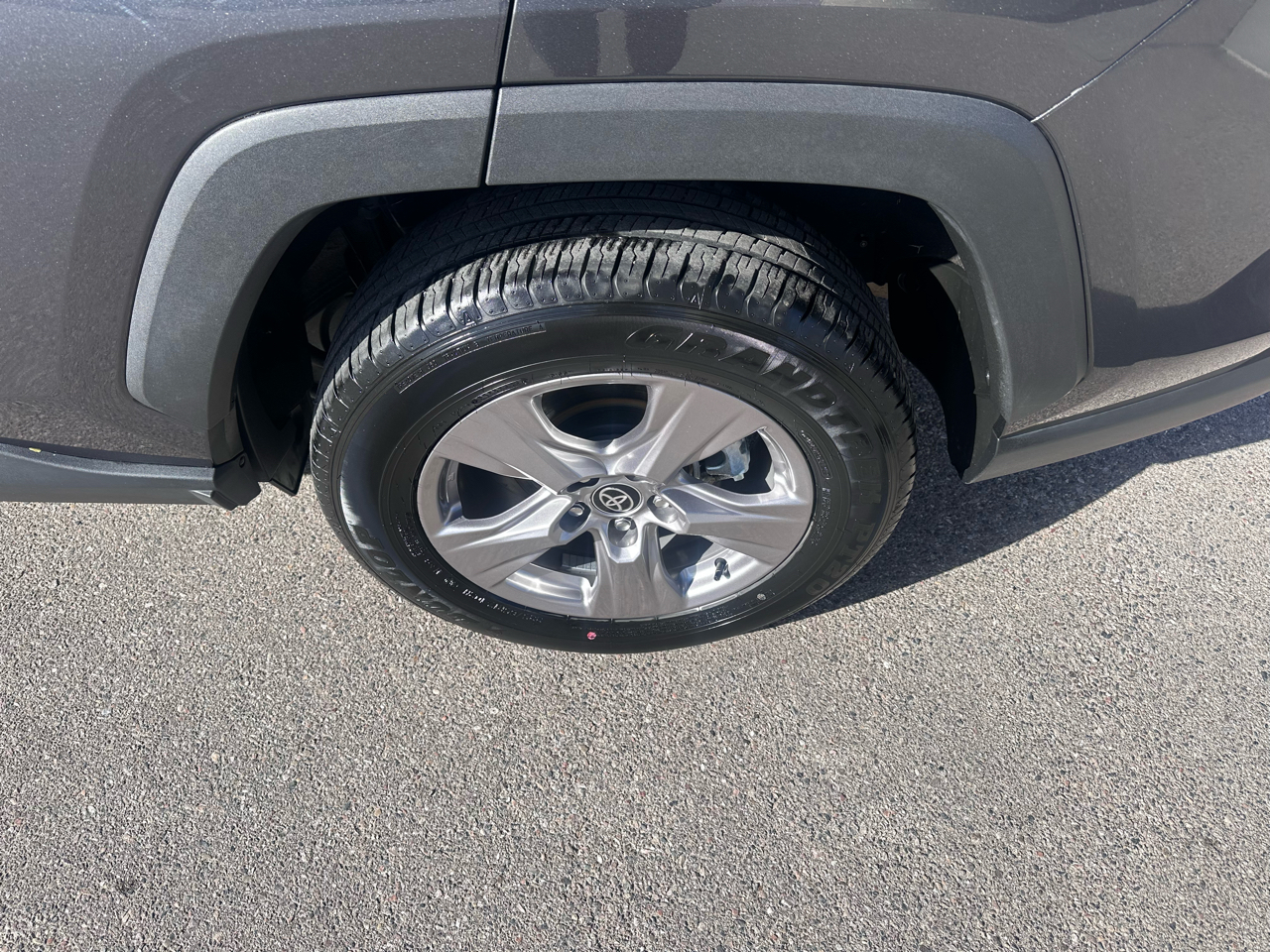 Toyota RAV4 XLE AWD (Natl) 2025