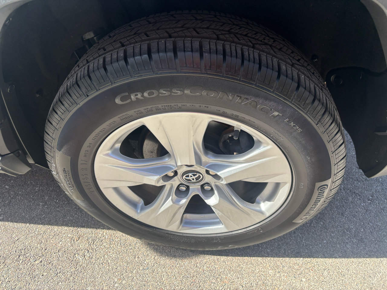 Toyota RAV4 XLE AWD (Natl) 2019