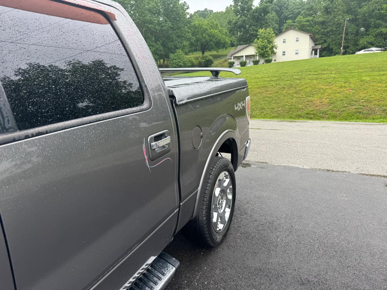 Ford F-150 4WD SuperCrew 145" Platinum 2011