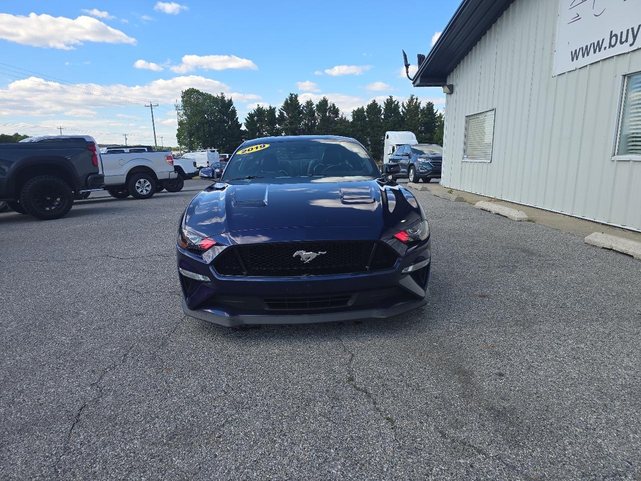 Ford Mustang GT Fastback 2019
