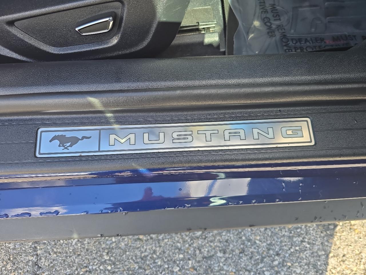 Ford Mustang GT Fastback 2019
