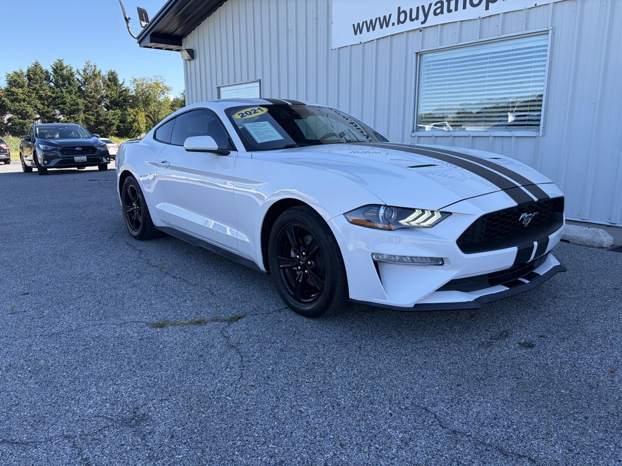 Ford Mustang EcoBoost Fastback 2021