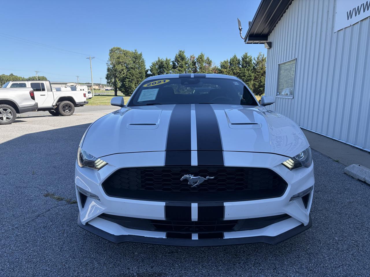 Ford Mustang EcoBoost Fastback 2021