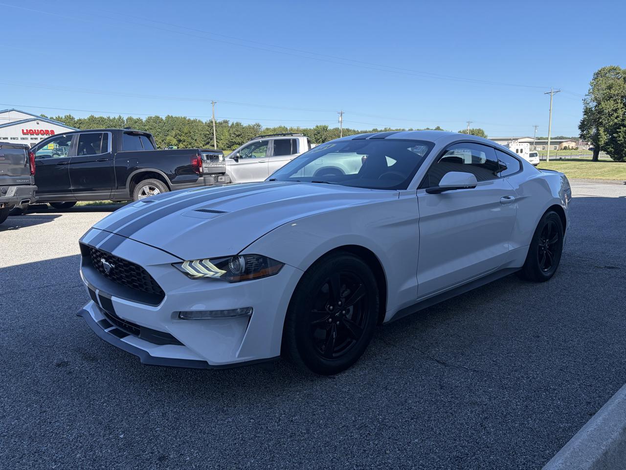 Ford Mustang EcoBoost Fastback 2021