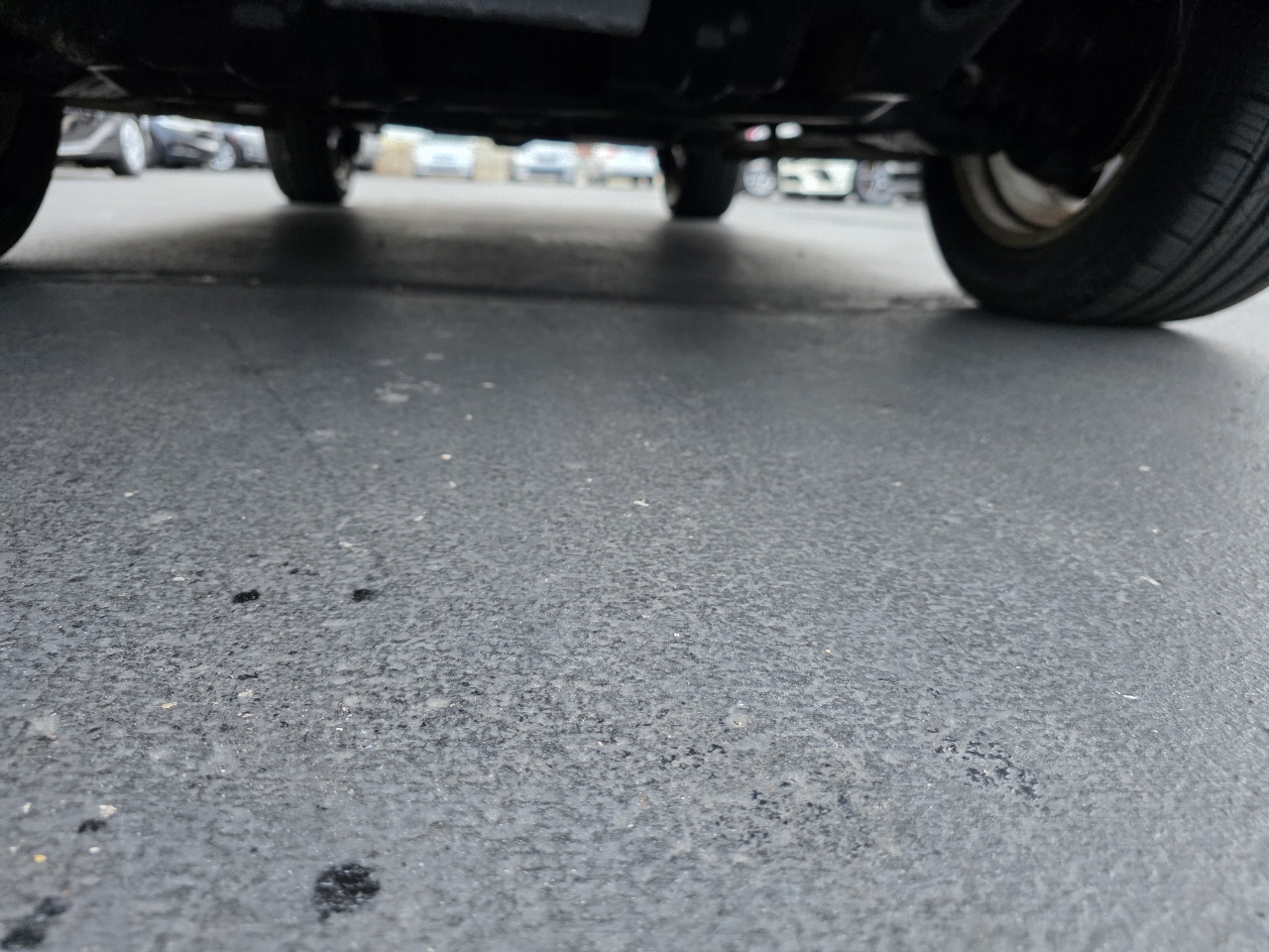 Toyota 4Runner 4WD 4dr V6 Limited (Natl) 2011