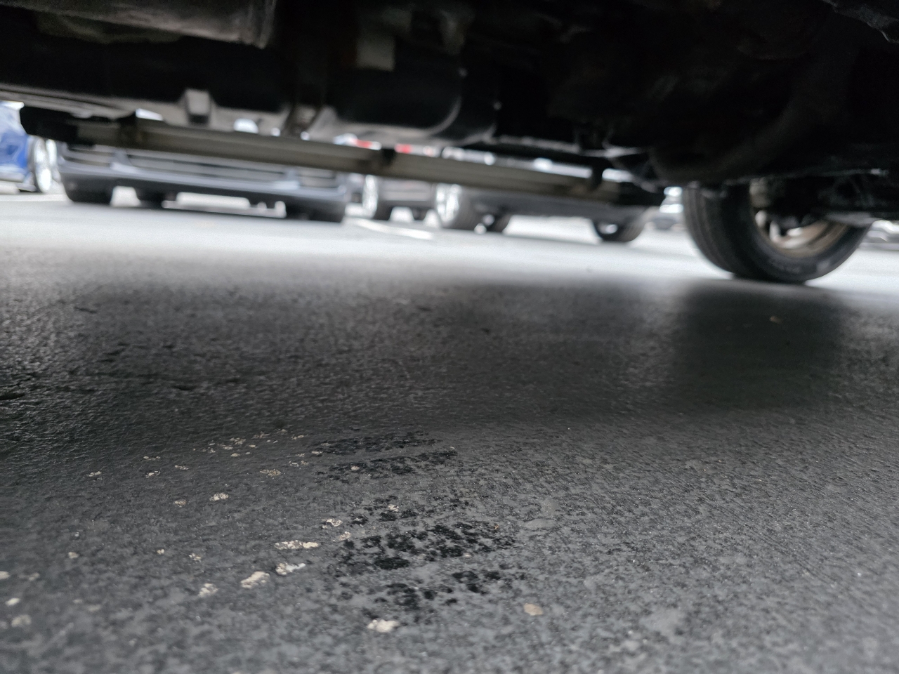 Toyota 4Runner 4WD 4dr V6 Limited (Natl) 2011