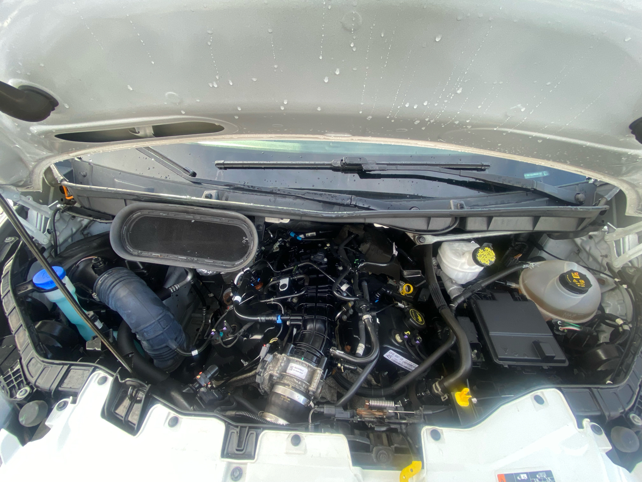 Ford Transit Cargo Van T-250 148" Hi Rf 9070 GVWR RWD 2021