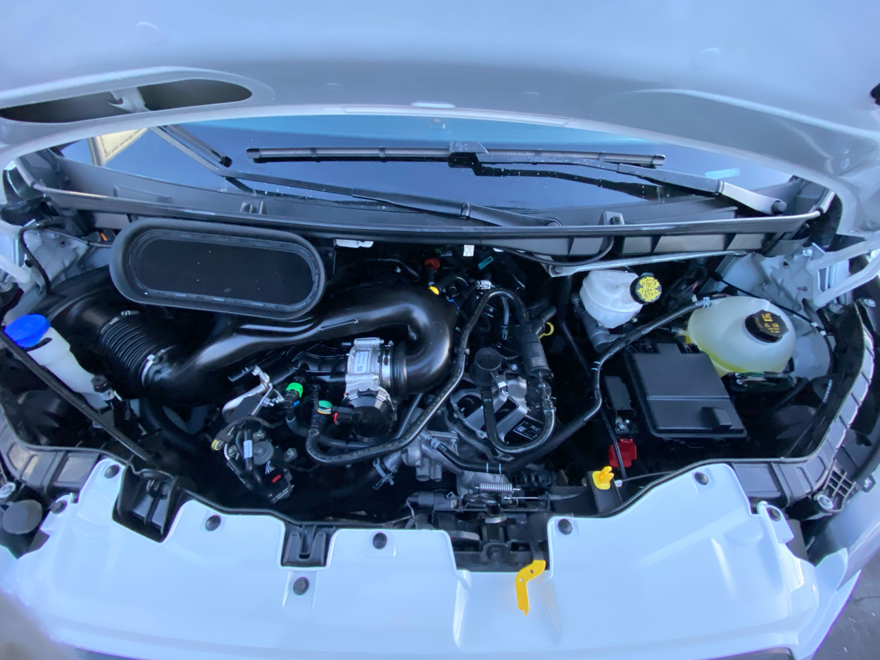 Ford Transit Cargo Van T-250 148" Hi Rf 9070 GVWR RWD 2023