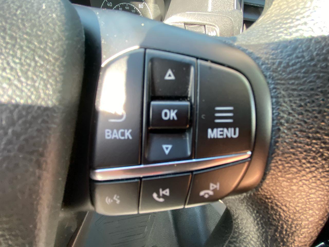 Ford Transit Cargo Van T-250 130" Low Rf 9070 GVWR RWD 2024