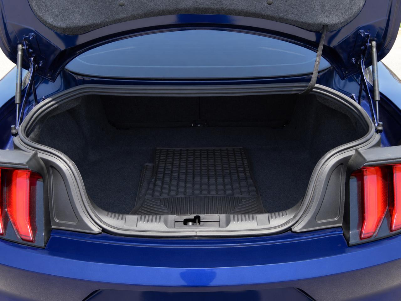 2019 Ford Mustang EcoBoost - Photo 14
