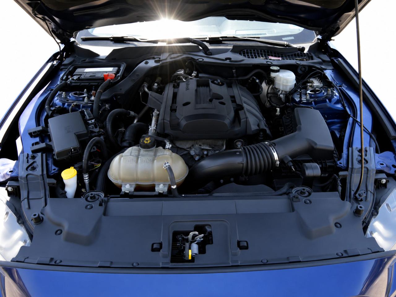 2019 Ford Mustang EcoBoost - Photo 16