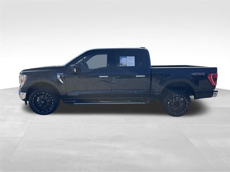 Ford F-150 XLT SuperCrew 5.5-ft. Bed 4WD 2022