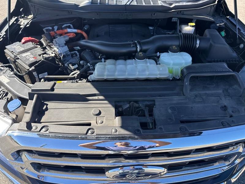 Ford F-150 XLT SuperCrew 5.5-ft. Bed 4WD 2022