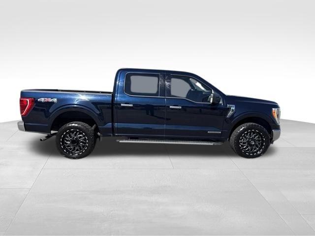 Ford F-150 XLT SuperCrew 5.5-ft. Bed 4WD 2022