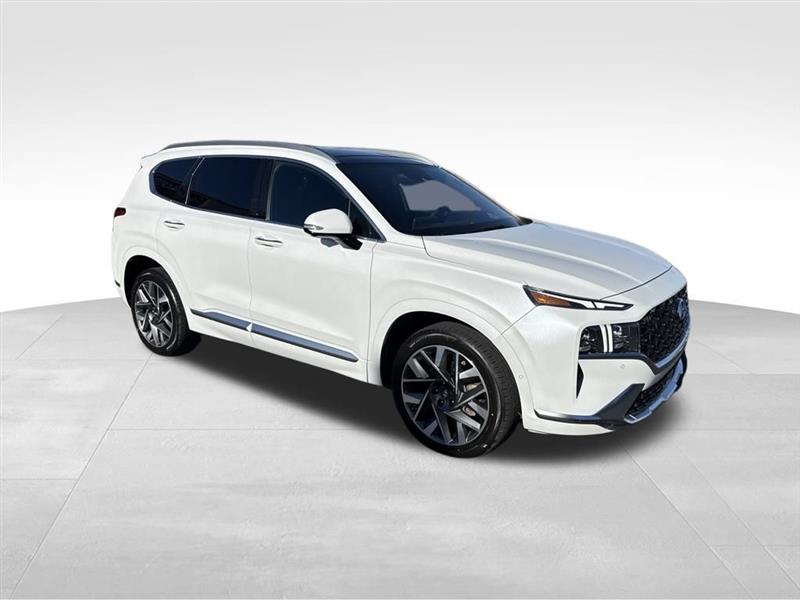 Hyundai Santa Fe Calligraphy 2022 Hyundai Santa Fe Calligraphy 2022