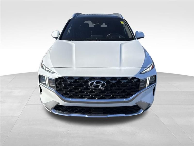 Hyundai Santa Fe Calligraphy 2022 Hyundai Santa Fe Calligraphy 2022