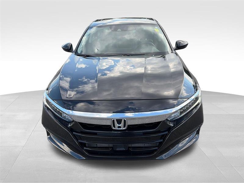 Honda Accord EX-L 2.0T 2019