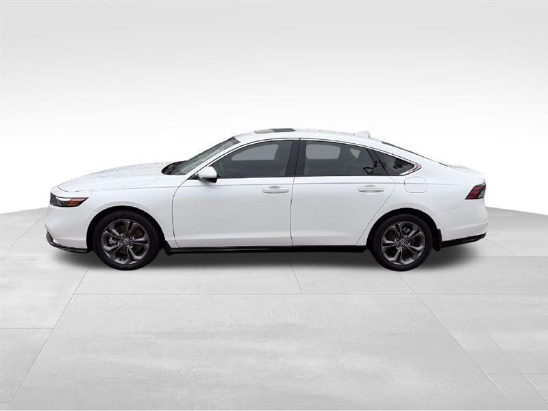 Honda Accord EX-L Hybrid 2024