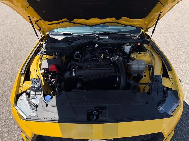 Ford Mustang EcoBoost Coupe 2024